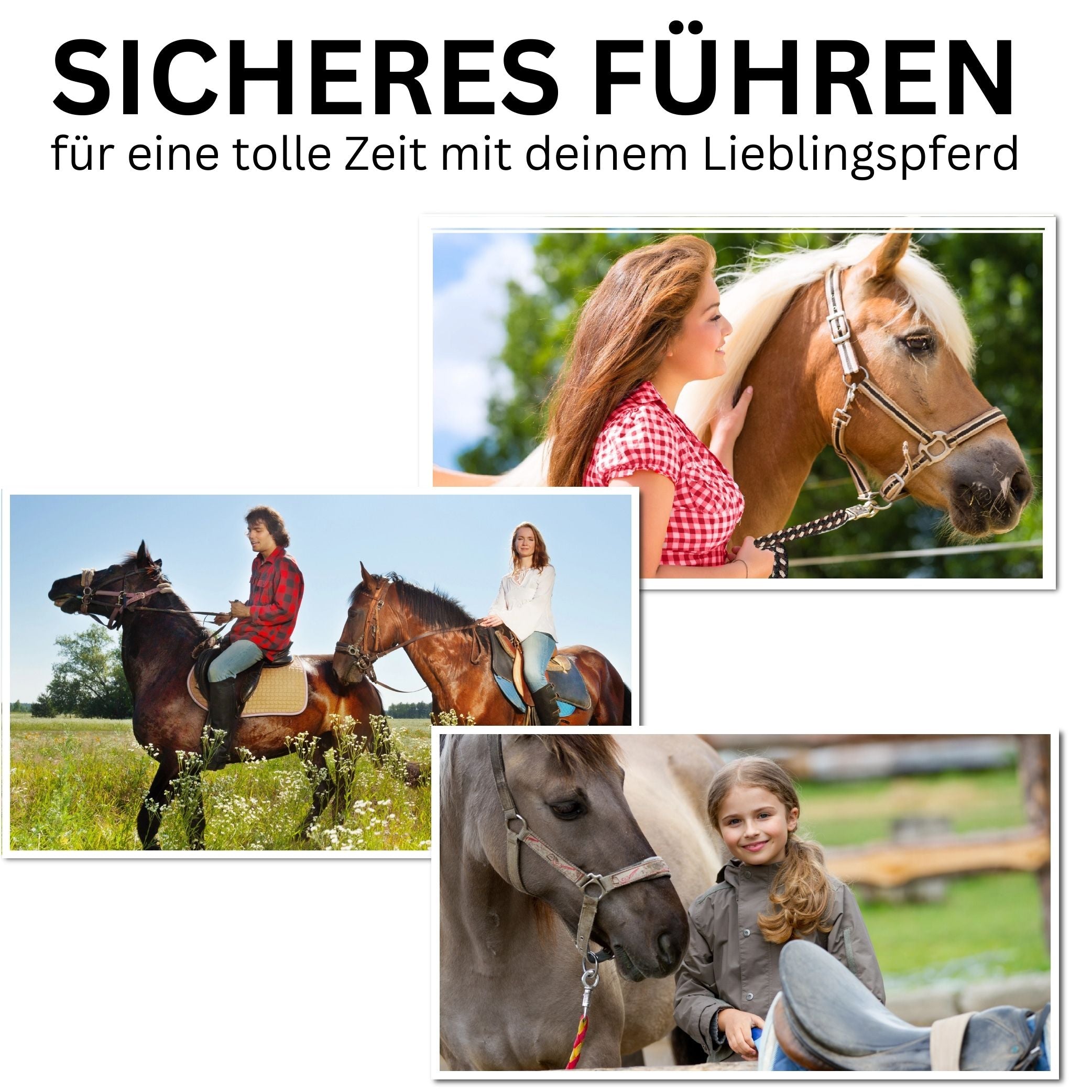 Panikhaken für Führstricke, ideal als Ersatzhaken